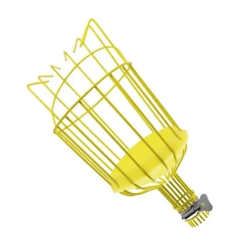 img_511762_1 img 511762 1